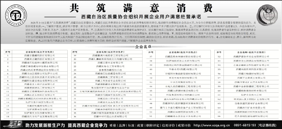 2025年3.15共筑满意消费